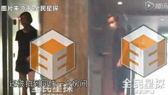 最新黑花所有爆料在哪看,揭秘事件全貌